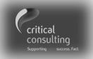 Critical Consulting